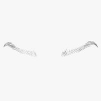 Steep Arch Brows