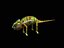 3d max rig chameleon