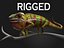 3d max rig chameleon