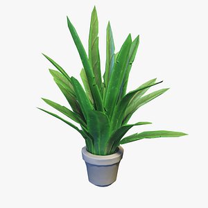 Stylized House Plant 21 3D model