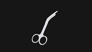 Plaster Scissors  Low Poly 3D model