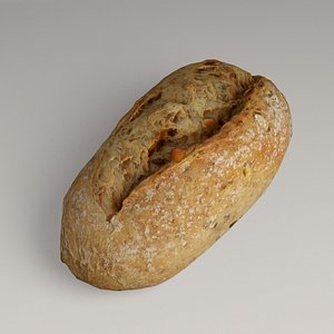 3D roll model