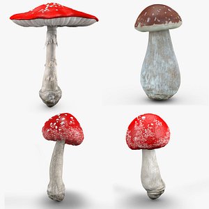 Mushroom Set