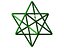 Wireframe Shape Stellated Dodecahedron
