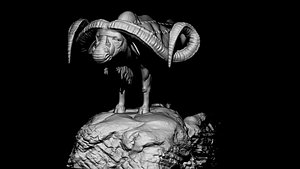 Buffalo 3D model