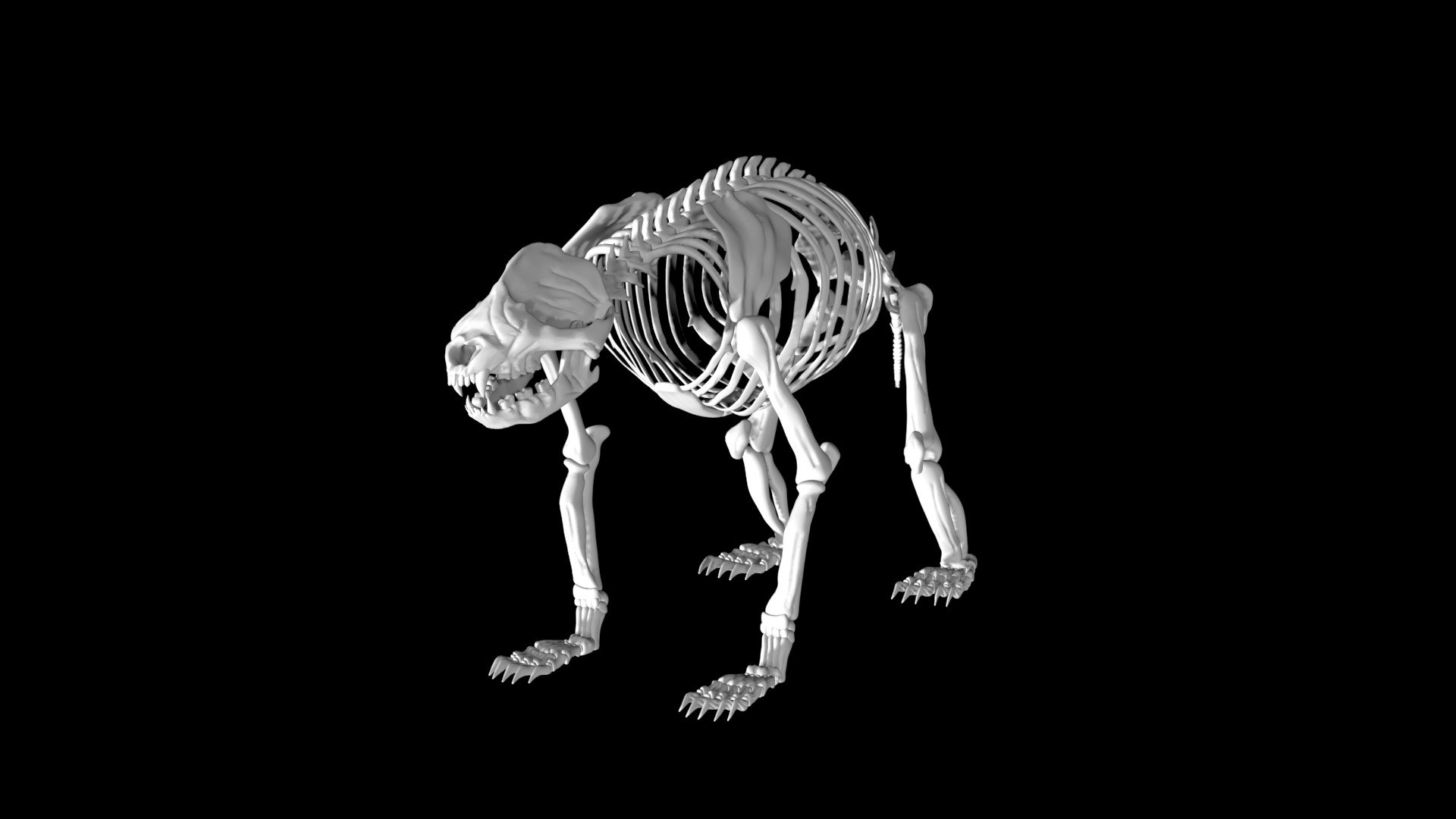 3D Rigged Panda Skeleton Model - TurboSquid 1885777