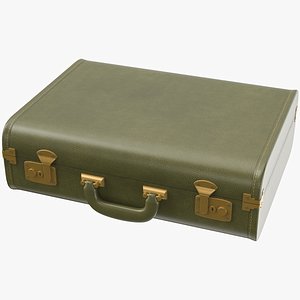 Vintage Luggage 04 3D