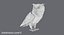フクロウの止まった