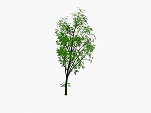 tree pack 4