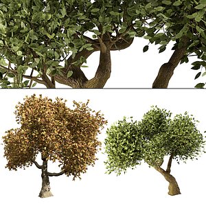 3D Green and Yellow Trees 3d model model