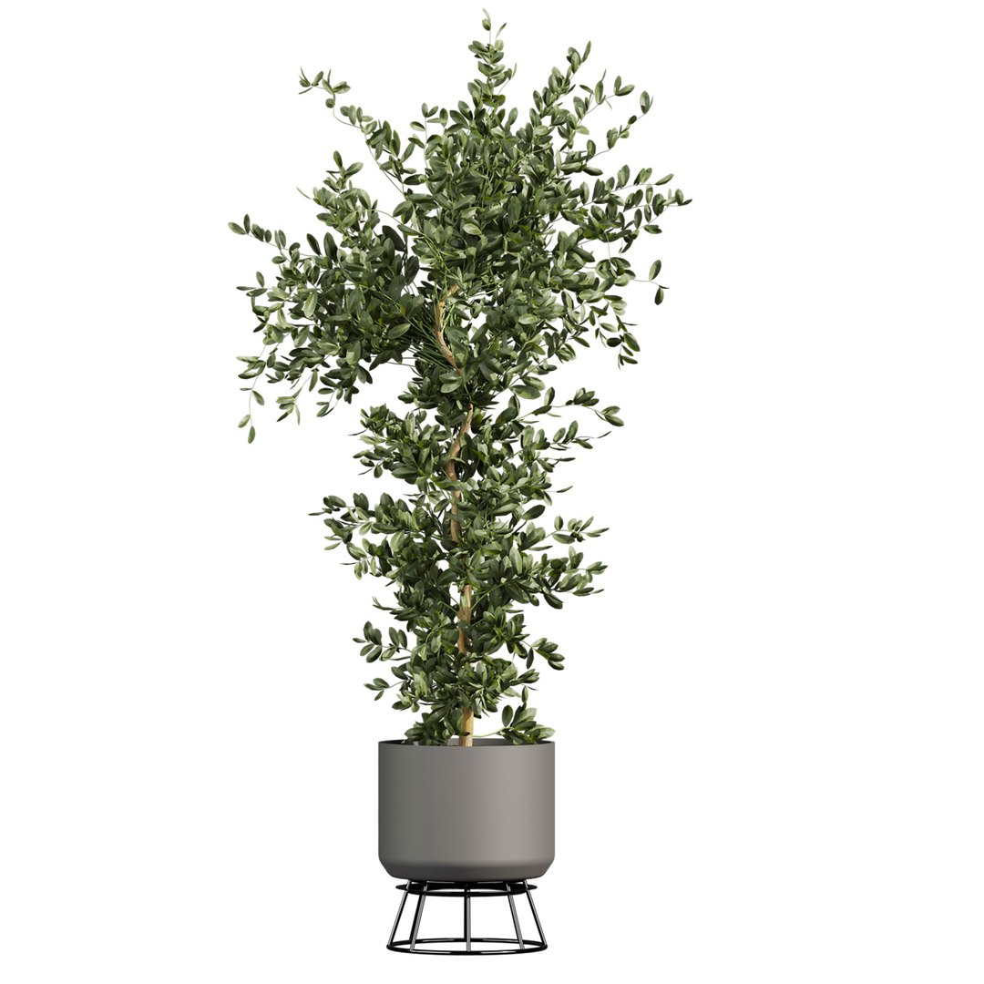 Ultimate Plant Collection – 42 High-Quality 3D Plant Models 3D https://p.turbosquid.com/ts-thumb/0T/a7HzRJ/v6/2/jpg/1765041634/1920x1080/fit_q87/eaeea7a5720a6ea4497612bd74176c79057e9a0f/2.jpg