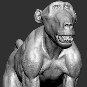 Baboon VFX Zbrush sculpture