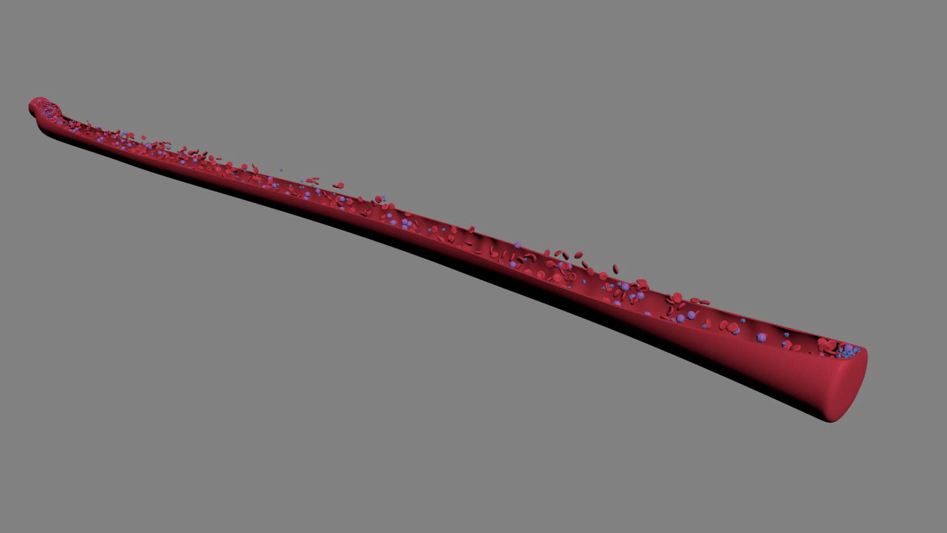 Blood Stem Micro Cells Flowing Animation 3D - TurboSquid 1812246