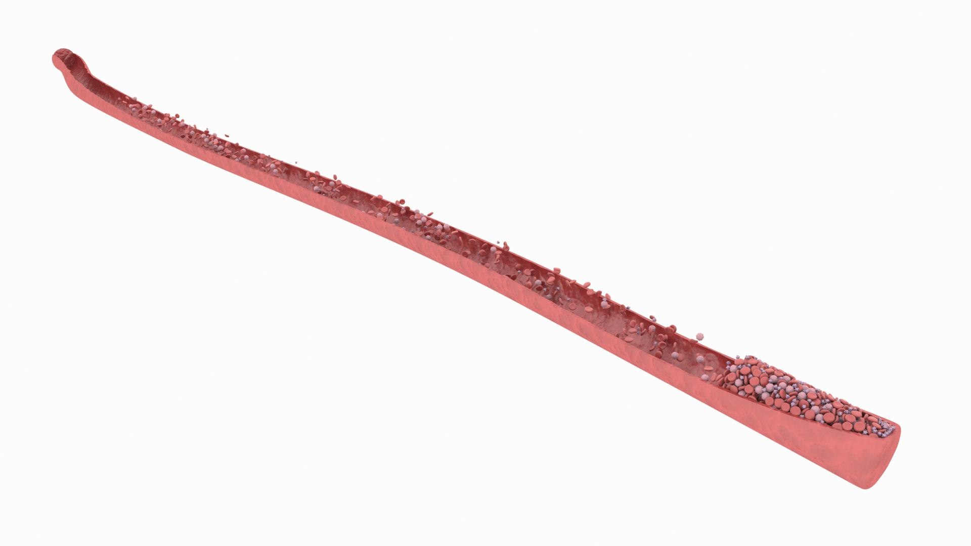 Blood Stem Micro Cells Flowing Animation 3D - TurboSquid 1812246