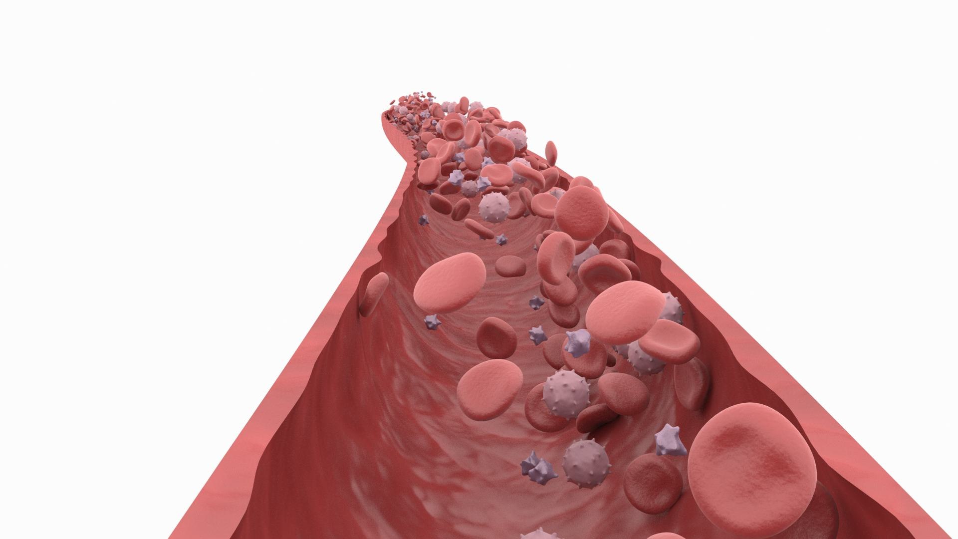 Blood Stem Micro Cells Flowing Animation 3D - TurboSquid 1812246