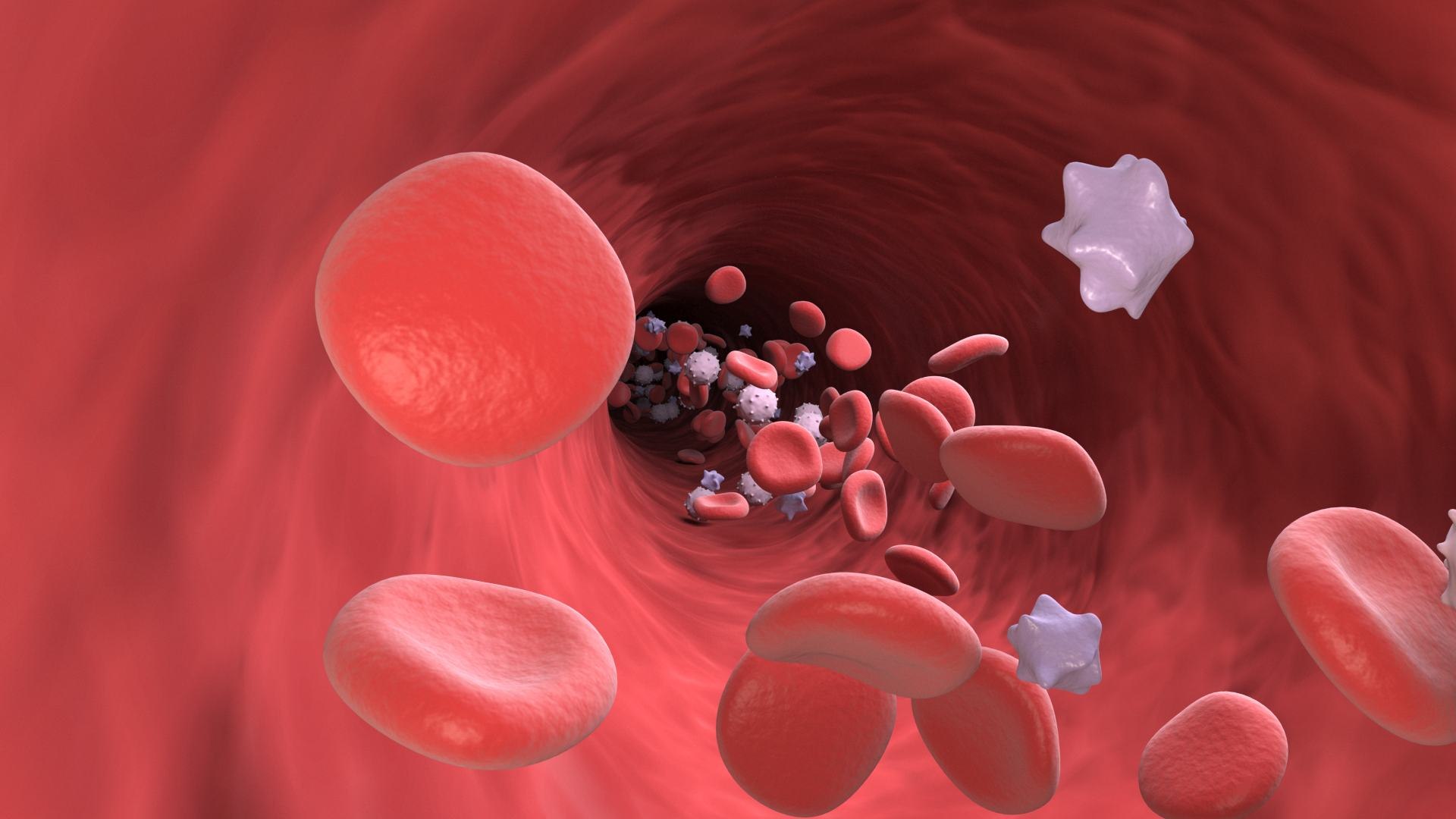 Blood Stem Micro Cells Flowing Animation 3D - TurboSquid 1812246