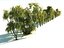 birch-tree forest pack 18 3D