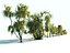 birch-tree forest pack 18 3D