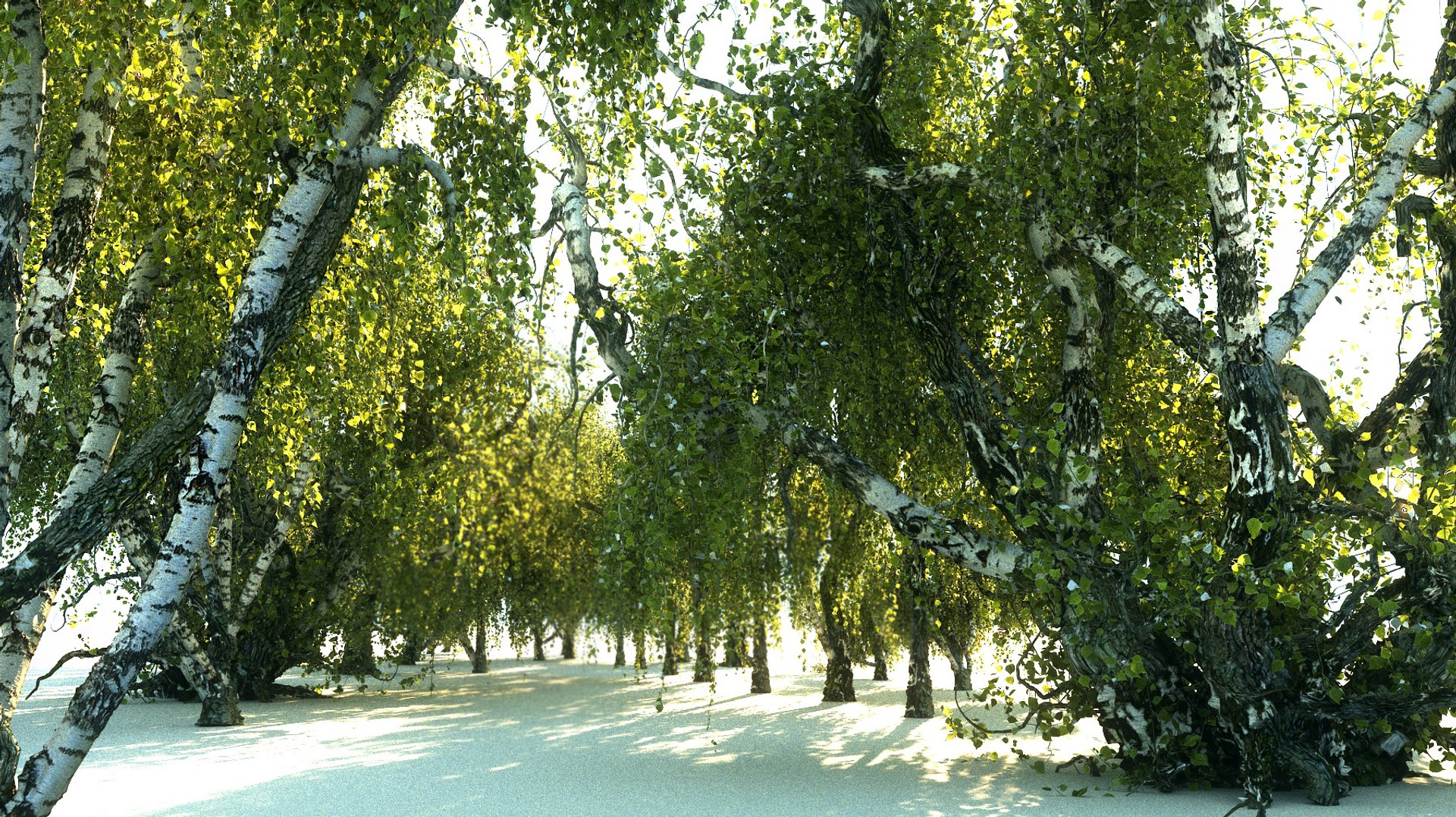 birch-tree forest pack 18 3D https://p.turbosquid.com/ts-thumb/0T/wLabqQ/cKvypKhd/6666666/jpg/1531962047/1920x1080/fit_q87/809fabd1b2869c75fc447fbaa0fc0850c9954156/6666666.jpg