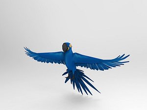 3D bird parrot blue ar