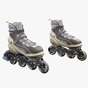 Used Skates 3D