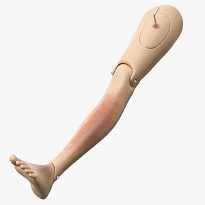 injured firstaid mannequin leg 3D