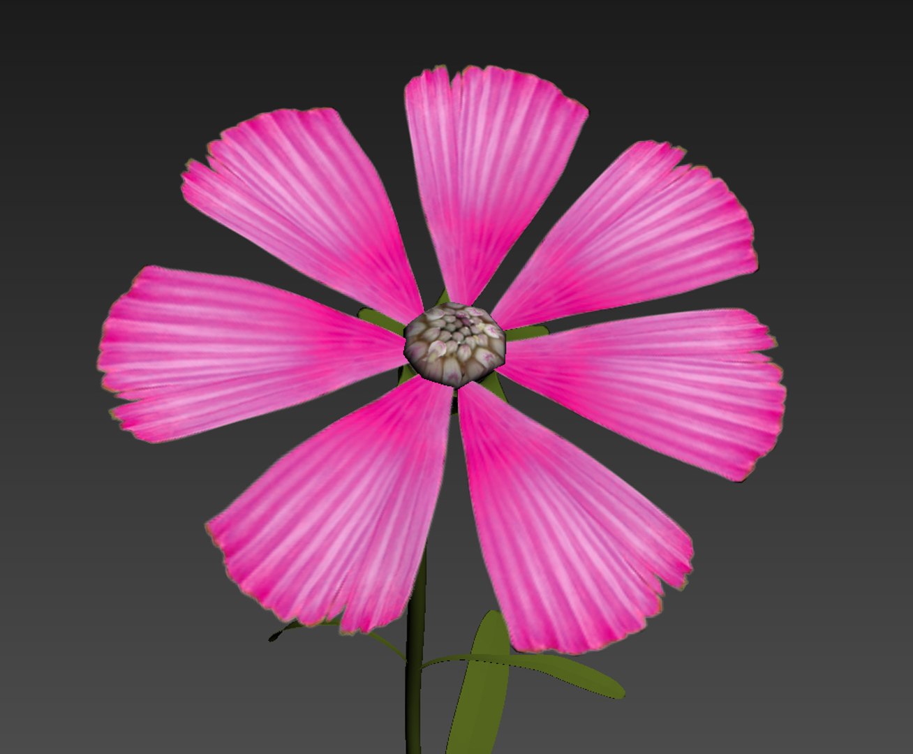 3D Flowers Animation Model - TurboSquid 1260788