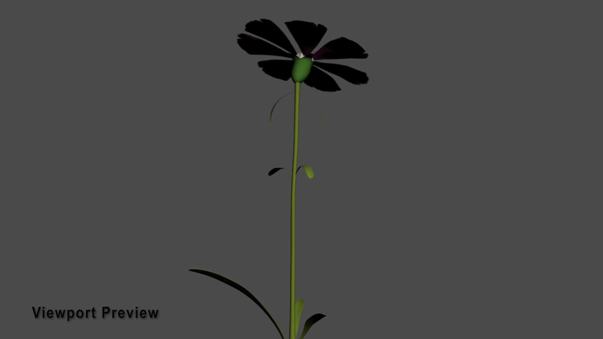 3D Flowers Animation Model - TurboSquid 1260788