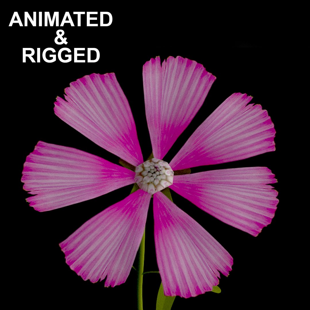 3D Flowers Animation Model - TurboSquid 1260788
