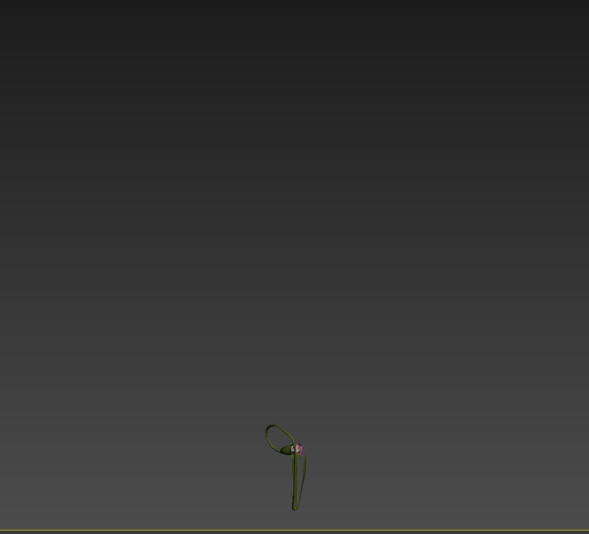 3D flowers animation model https://p.turbosquid.com/ts-thumb/0U/BYtcLZ/pPzf4wkx/6/jpg/1520171745/1920x1080/fit_q87/f0b836c9929563044bd07f4beb58fab1824acd82/6.jpg
