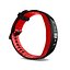 E3D - Samsung Gear Fit2 Pro model