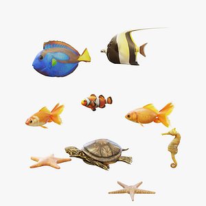 rigged goldfishes idol 3d model
