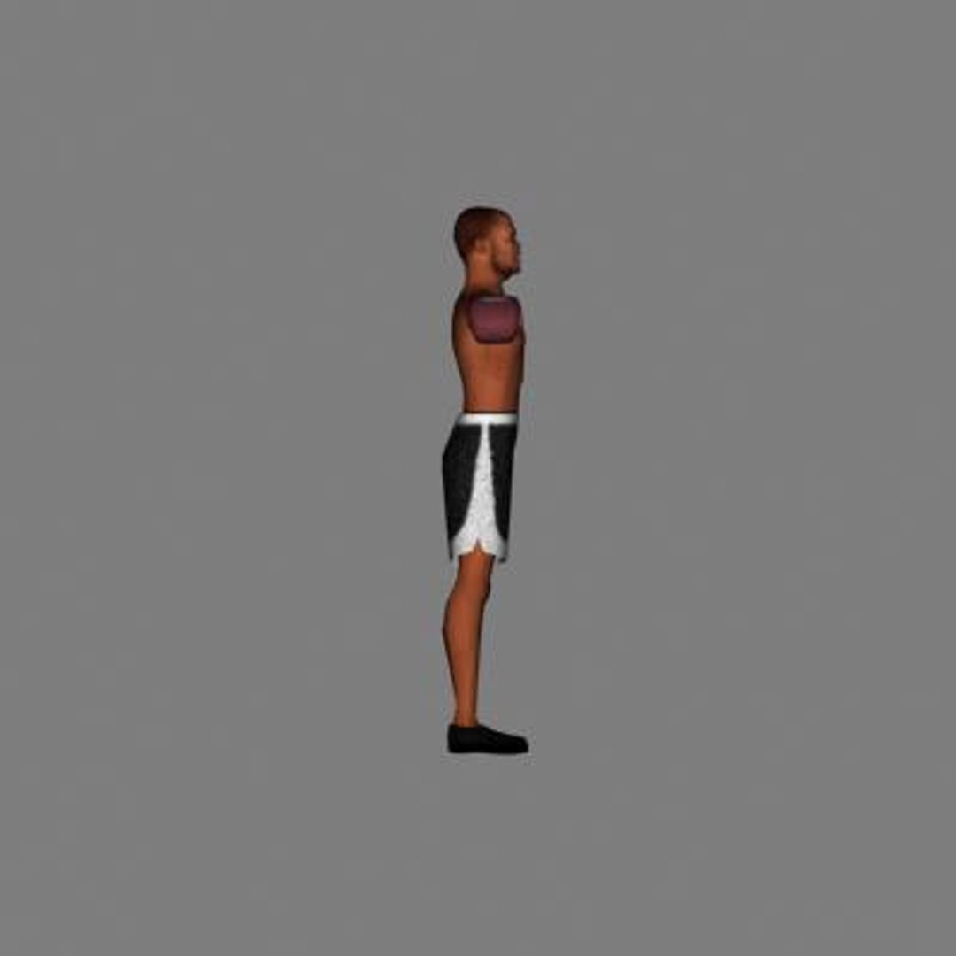 3d Model Human Male Boxer