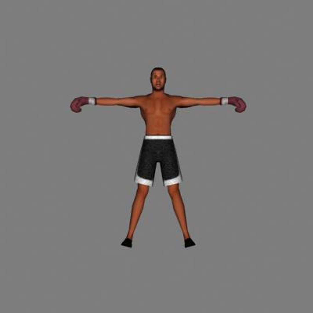 3d Model Human Male Boxer