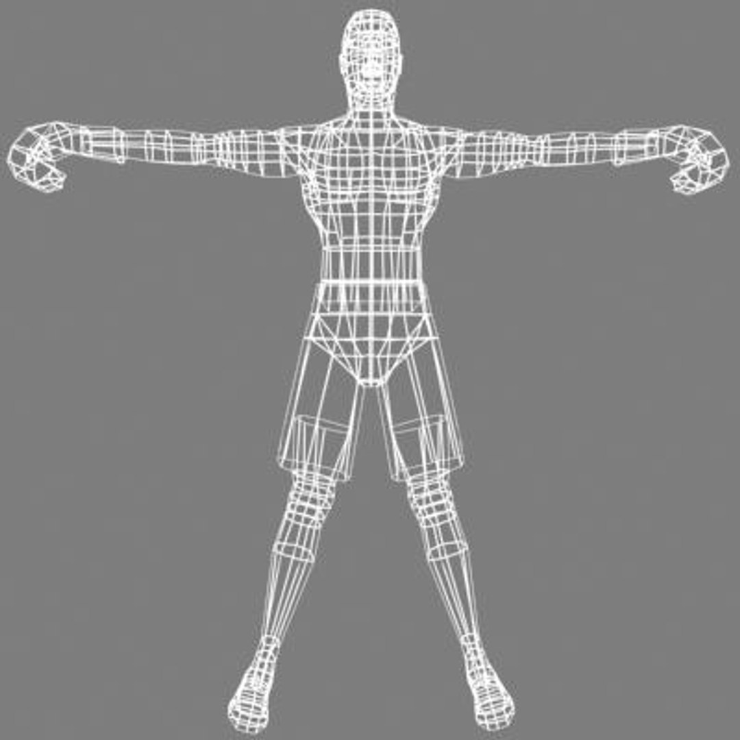 3d Model Human Male Boxer