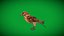 Eurasian Tree Sparrow 3D model