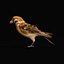 Eurasian Tree Sparrow 3D model