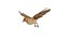 Eurasian Tree Sparrow 3D model