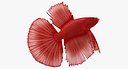 Red Crowntail Betta Fish