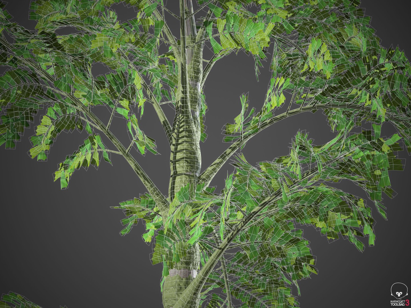 palm tree nature 3D model https://p.turbosquid.com/ts-thumb/0V/Kn65pe/7s/wireframe3/jpg/1610998318/1920x1080/fit_q87/16752c60a85faeeebeb3e6e9b6df036059085adb/wireframe3.jpg