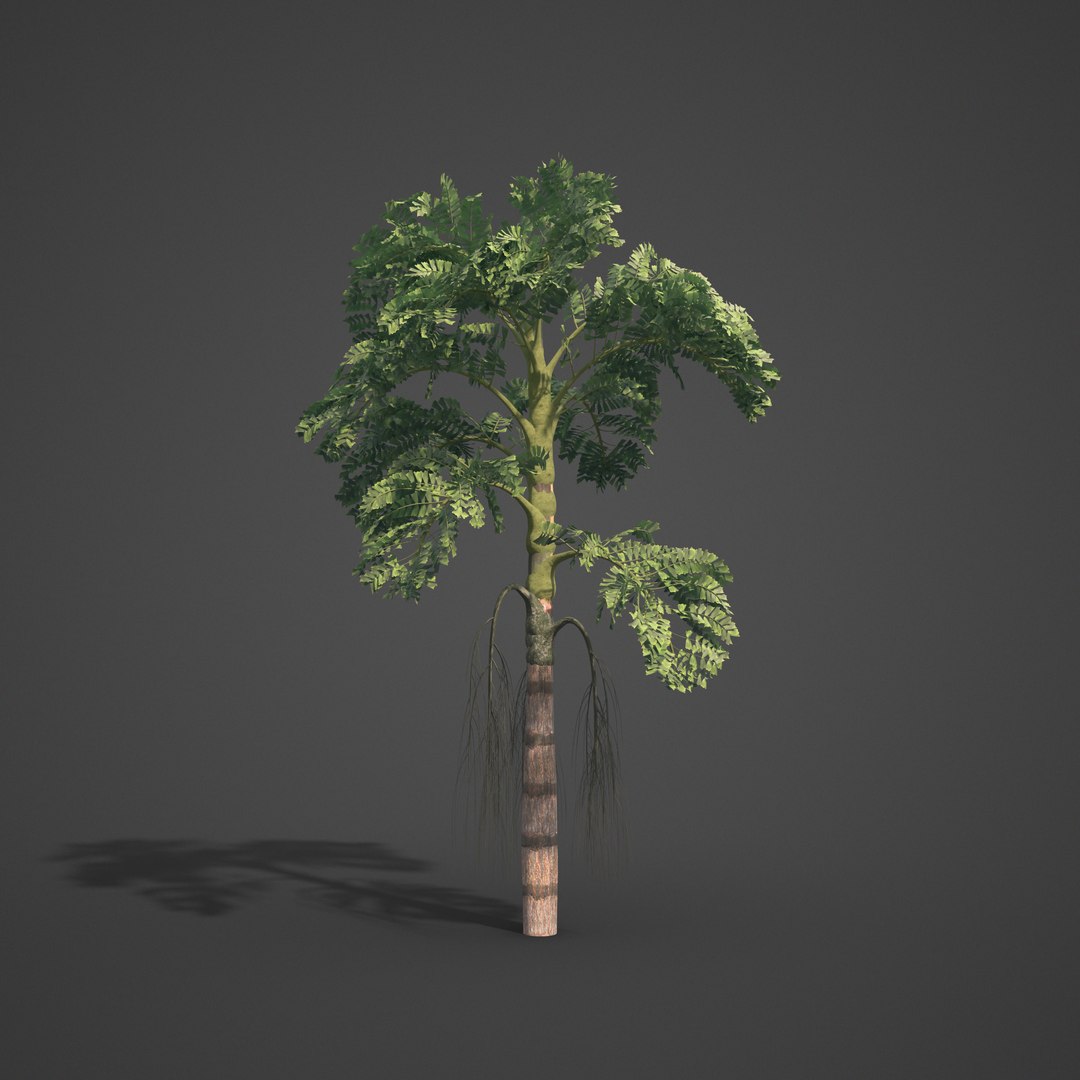 palm tree nature 3D model https://p.turbosquid.com/ts-thumb/0V/Kn65pe/KV/as03_06/png/1610998324/1920x1080/fit_q87/662676d5c391c56db9996a892cfb97dba318ee8b/as03_06.jpg