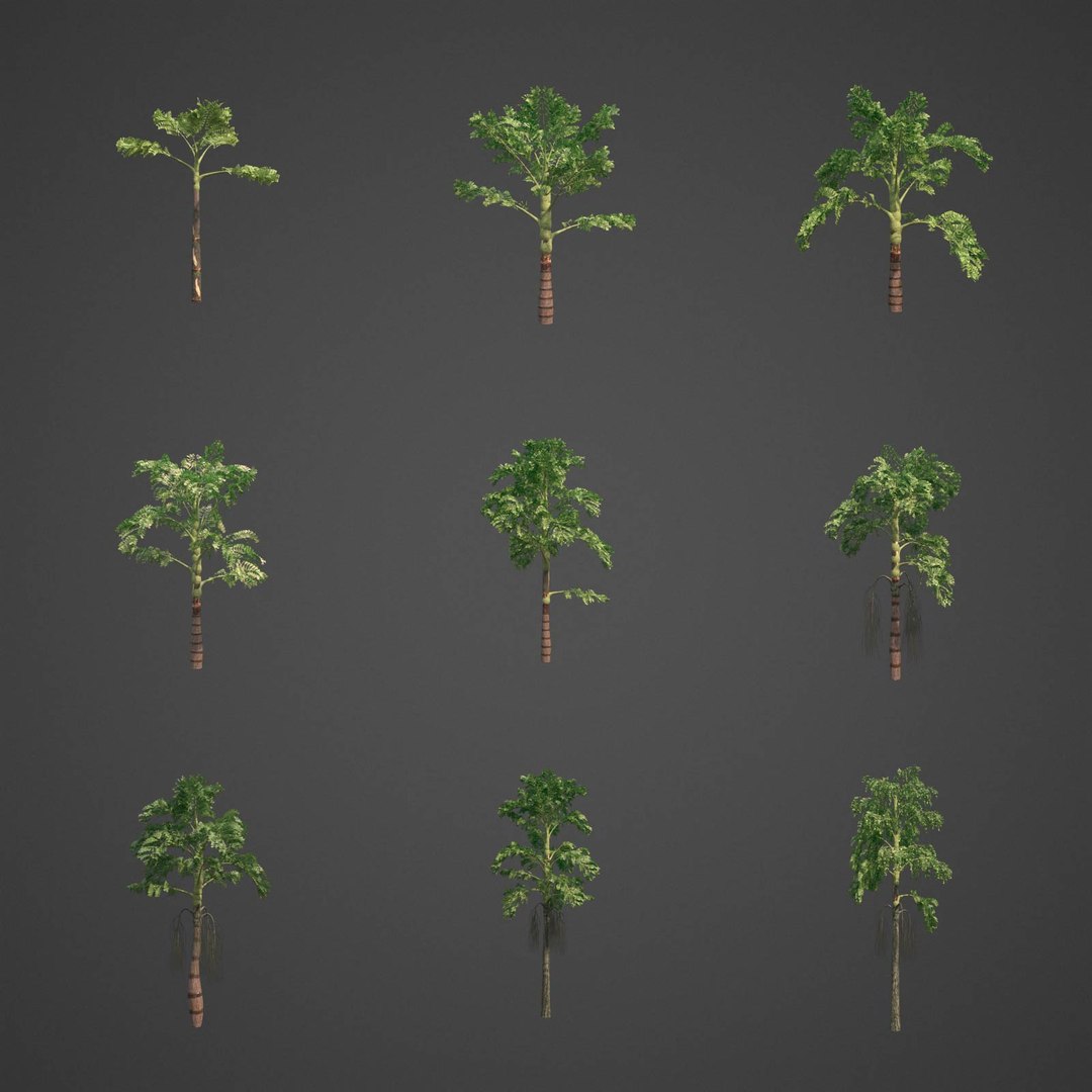 palm tree nature 3D model https://p.turbosquid.com/ts-thumb/0V/Kn65pe/nE/as03_00/jpg/1610998366/1920x1080/fit_q87/610dfed29b5f43ad19f6cab5cacf167e41ff00c4/as03_00.jpg