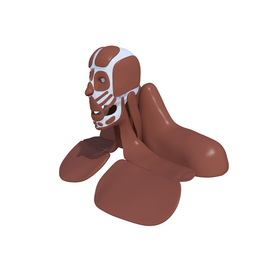 free muscular human body 3d model https://p.turbosquid.com/ts-thumb/0V/PtpRJb/s0vUVyC5/2/jpg/1484907604/1920x1080/fit_q87/6875295422877db4d3eab80473fdf9ba059d147d/2.jpg