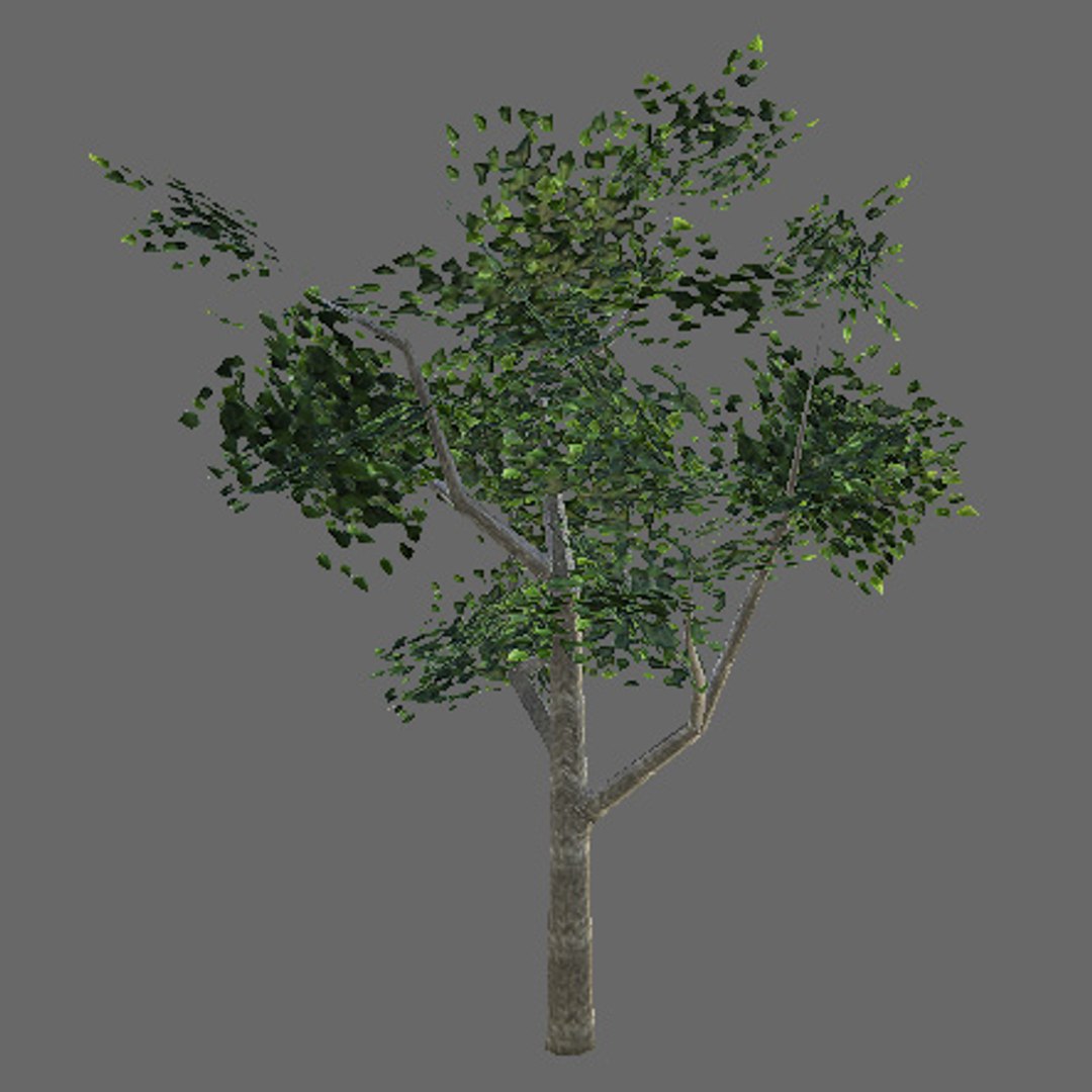 tree 3d 3ds https://p.turbosquid.com/ts-thumb/0V/Syvc29/OCJBIJvN/r4/jpg/1294422234/1920x1080/fit_q87/a9b2137bb30bcbf3b0f1483c4bdc65108b54a966/r4.jpg