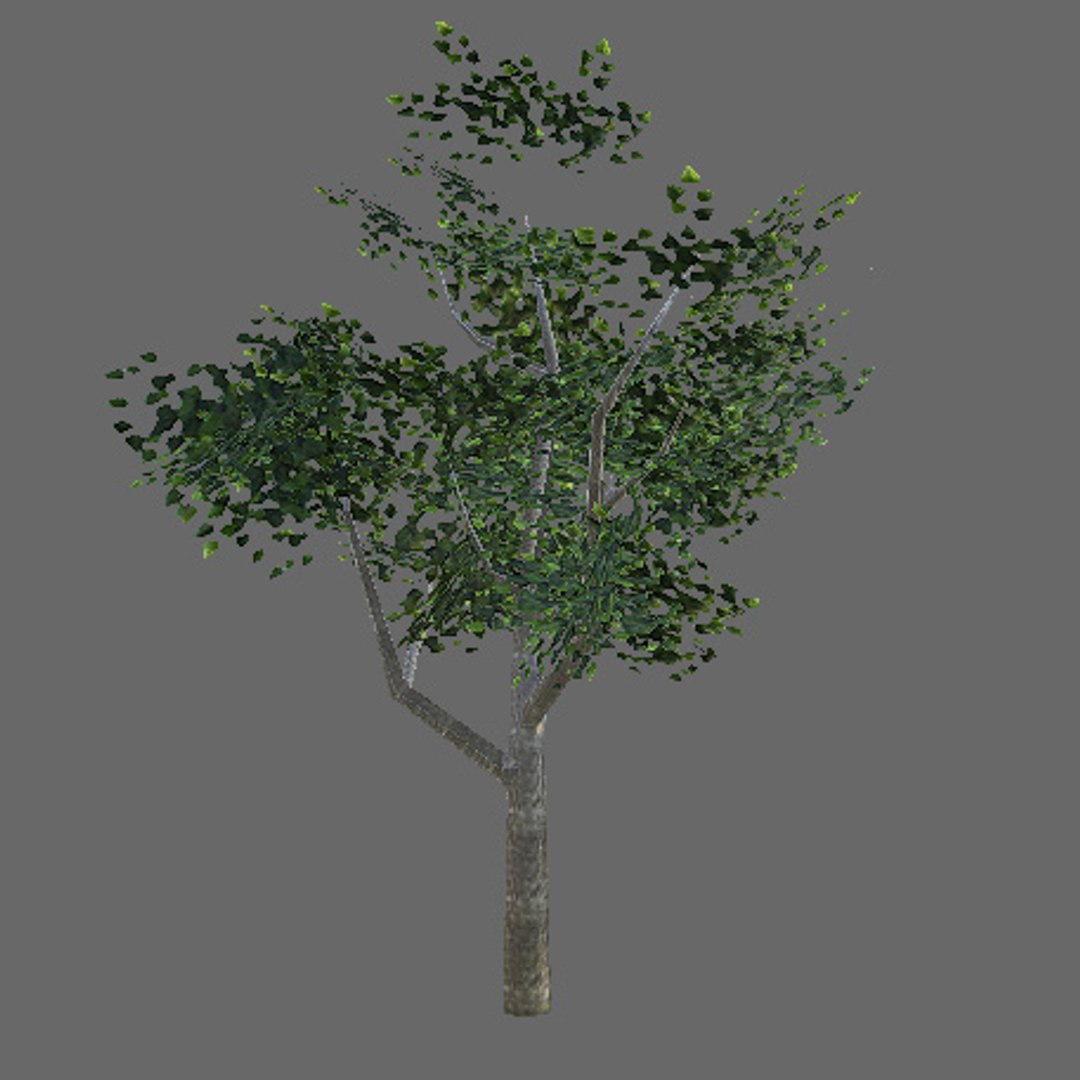 tree 3d 3ds https://p.turbosquid.com/ts-thumb/0V/Syvc29/VgsfXLuN/r2/jpg/1294422234/1920x1080/fit_q87/9a362ff23b5fed7593d602109ba8d1b45550f30d/r2.jpg