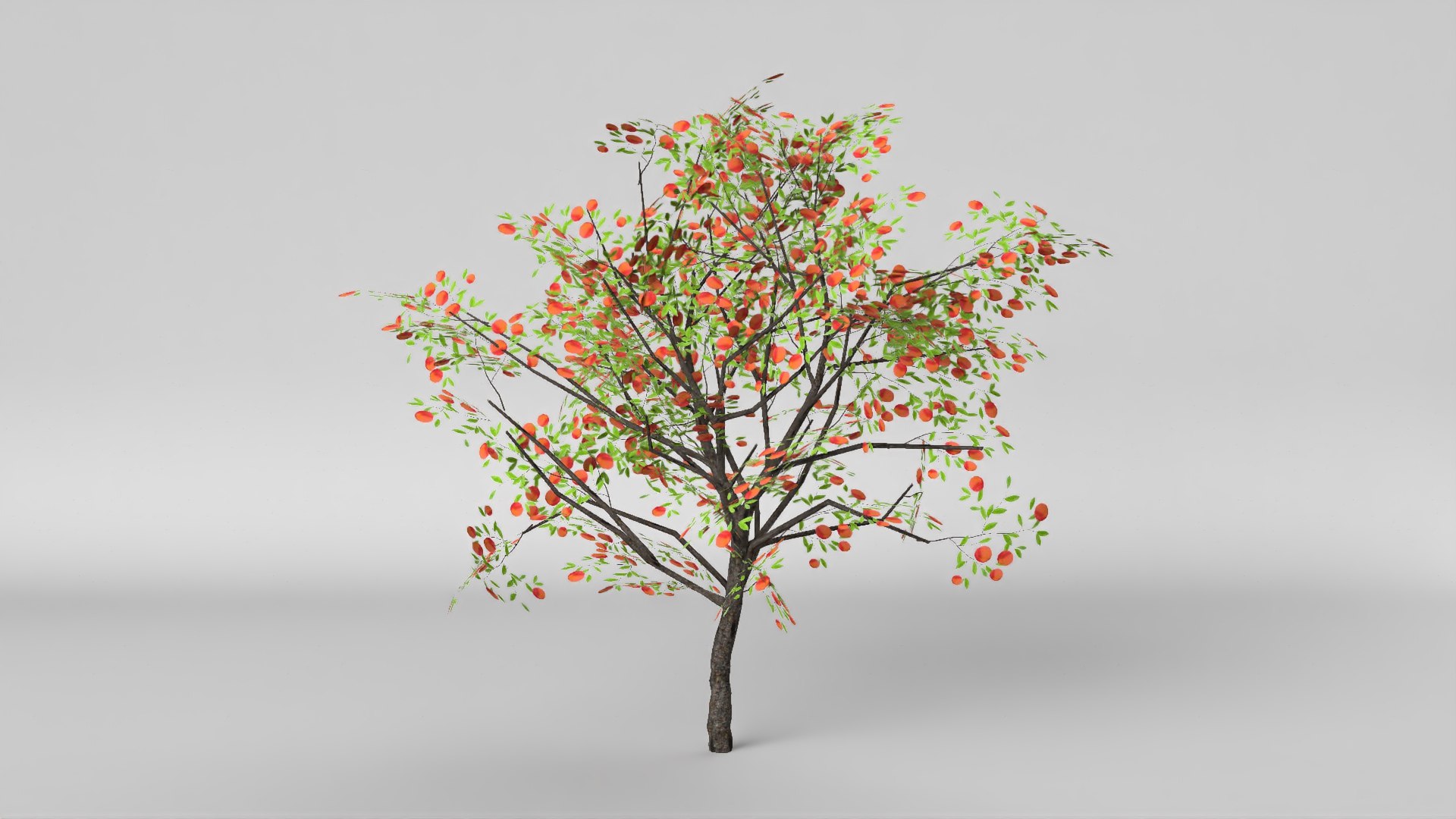 peach fruits 3D model https://p.turbosquid.com/ts-thumb/0V/hBLWir/JfdFOG20/seftali_mey_1/jpg/1600089486/1920x1080/fit_q87/a500e22bdc7f8088dccbb5fdb2695de6436797a7/seftali_mey_1.jpg