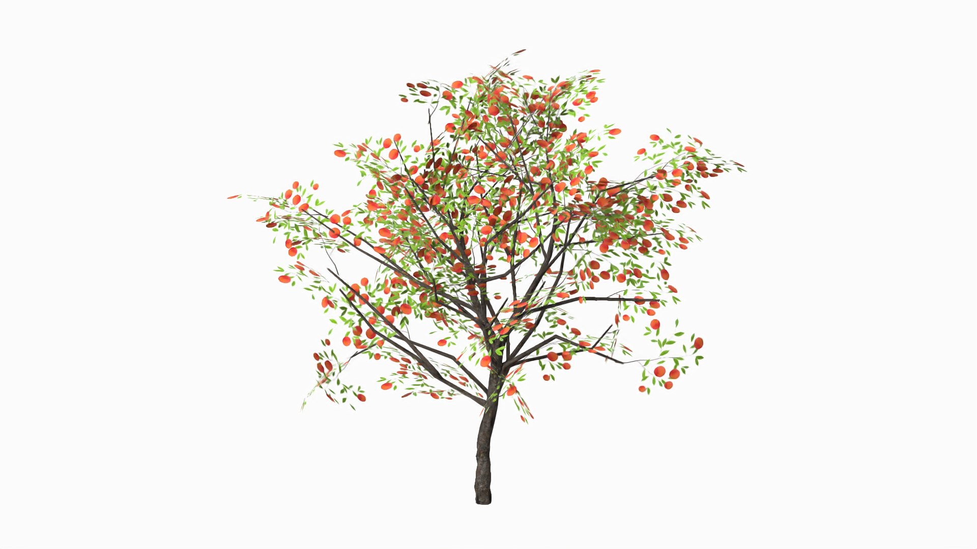 peach fruits 3D model https://p.turbosquid.com/ts-thumb/0V/hBLWir/dT5cDVrs/seftali_mey/jpg/1600089485/1920x1080/fit_q87/9b93b62533e20bf1f6b8cf649aeb26e4265d7c10/seftali_mey.jpg