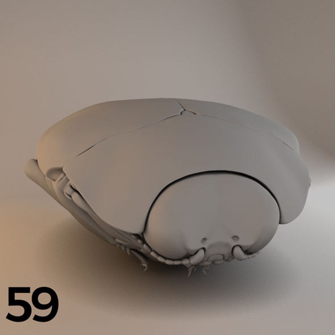 - pack bees insects model https://p.turbosquid.com/ts-thumb/0V/ktorqs/2LmMTJ3E/insect_pack_59_a_d/jpg/1563750295/1920x1080/fit_q87/8a5042e3af6fb1868de7eccd9e6f391fe2241f1e/insect_pack_59_a_d.jpg