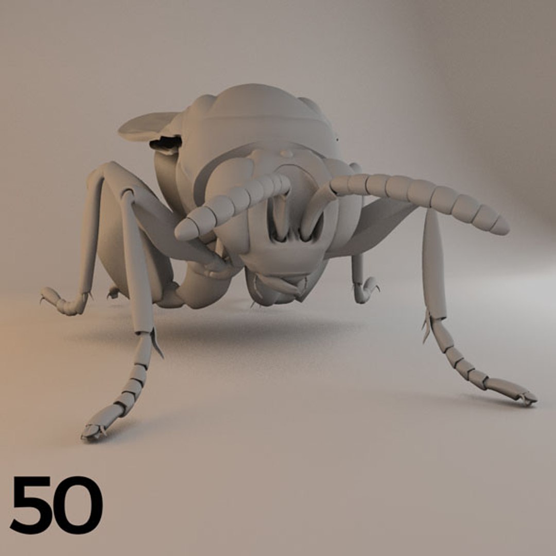 - pack bees insects model https://p.turbosquid.com/ts-thumb/0V/ktorqs/4UN4BEMz/insect_pack_50_a_d/jpg/1563750294/1920x1080/fit_q87/ad731e3dfa745ca3a013b1f3352954529fcd5ec1/insect_pack_50_a_d.jpg