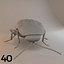 Insects and Beetles Pack - 60 pcs